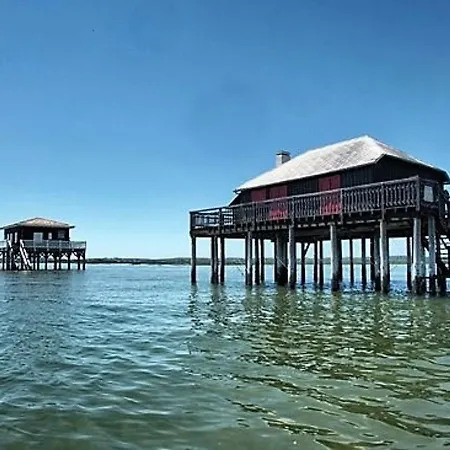 Maison De 4 Avec Jardin A 150m De La - Pyla, - Fr-1-420-94